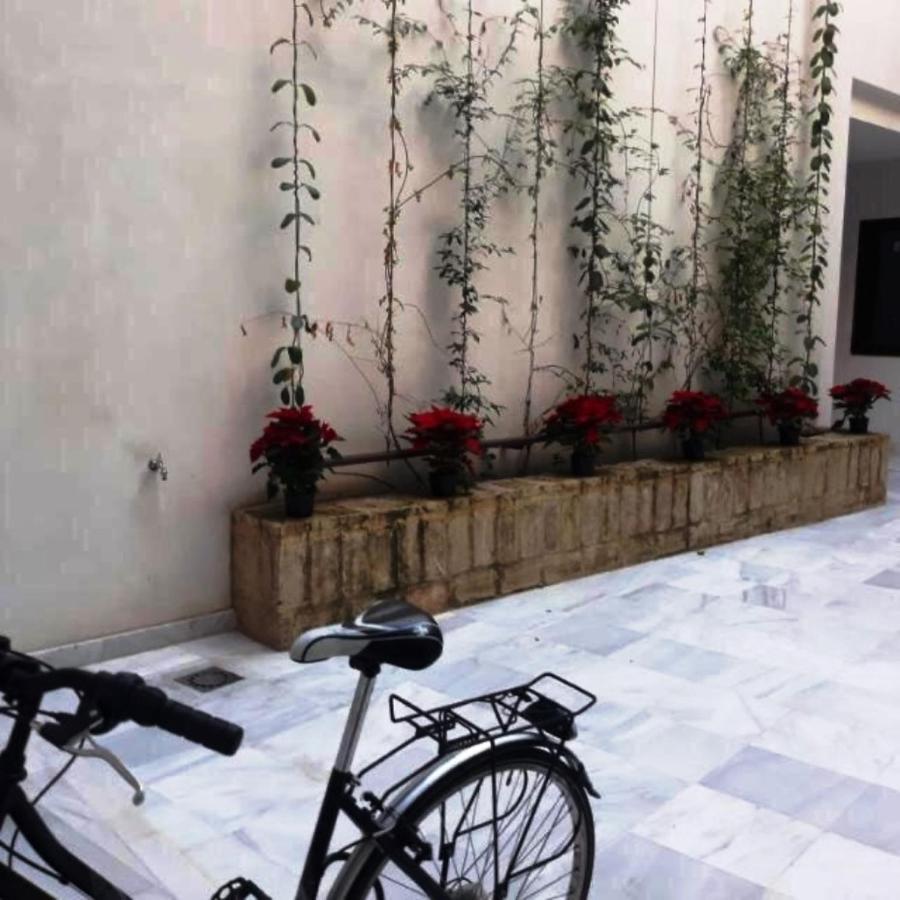 Estudio En Pleno Centro De Sevilla By Msholidays エクステリア 写真